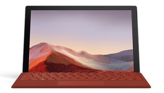 恒山清洁和维护 Surface